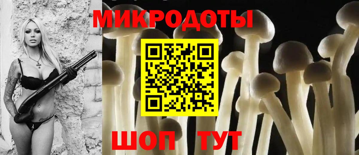 Калач-на-Дону  Псилоцибиновые грибы Psilocybe  Вход с VPN 